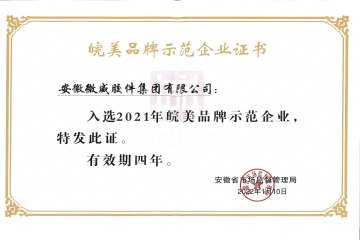 皖美品牌示范企業